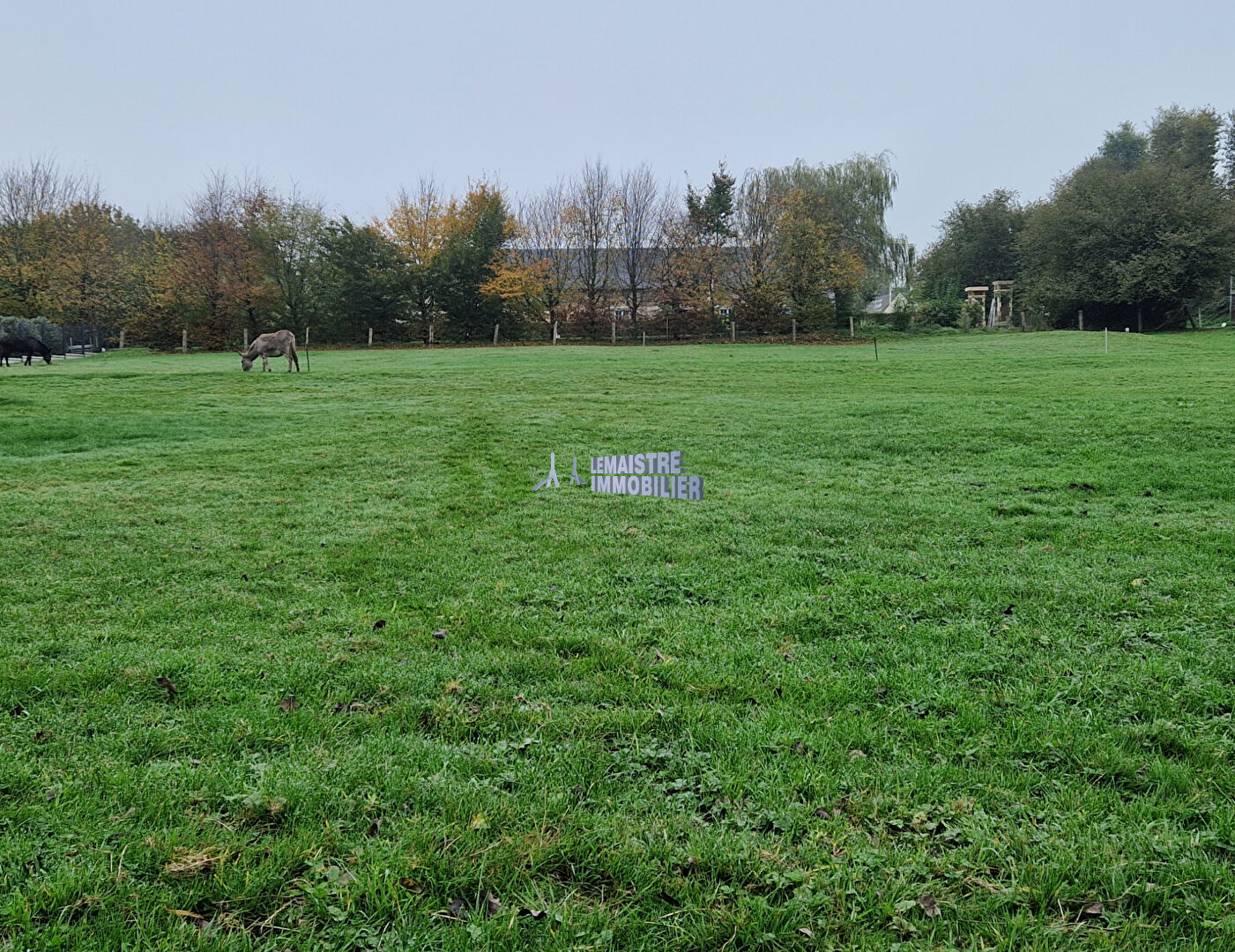 Terrain - SAINT ROMAIN DE COLBOSC